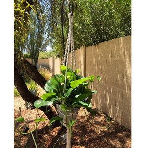Macrame plant hanger